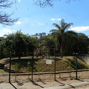 Amazonian wooly monkey exhibit - Belo Horizonte zoo