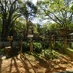 Native mammals exhibit - Belo Horizonte zoo