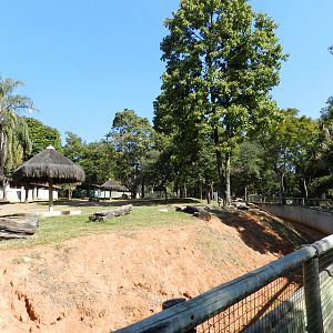 Cerrado Biome exhibit - Belo Horizonte zoo