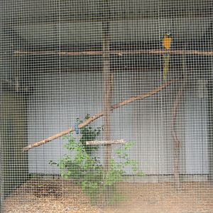 Hobro Minizoo - Macaw aviary
