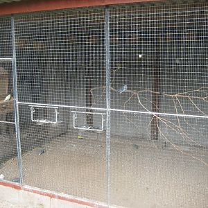 Hobro Minizoo - Budgerigar aviary