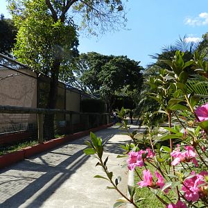 Main bird square corridor - Belo Horizonte zoo