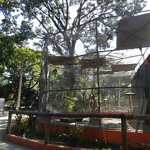 Main macaw aviary - Belo Horizonte zoo