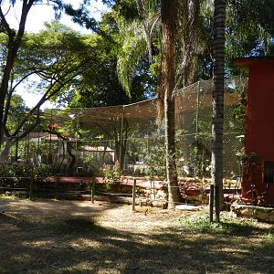 Crane and turaco exhibit - Belo Horizonte zoo