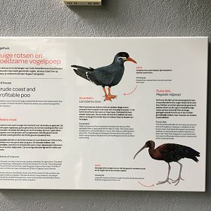 (New) sign in the first part of the vogelhuis/birdhouse