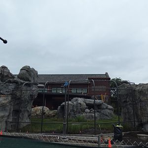 Lion Exhibit Construction - July 2021