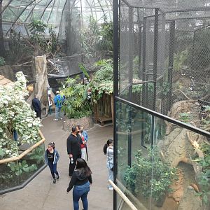 Small Mammal & Reptile House - July 2021
