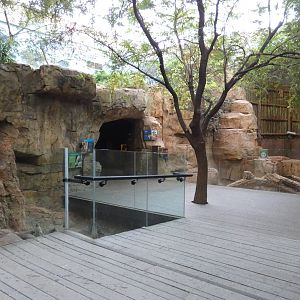 Dry Thorn Forest, African Journey - July 2021