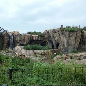 Polar Bear Exhibit, Arctic Tundra - July 2021