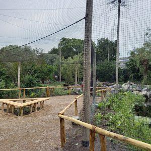 New Steller's sea-eagle aviary