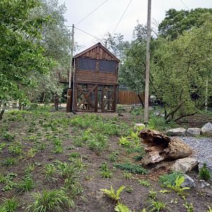 Viewing-tower new Steller's sea-eagle aviary