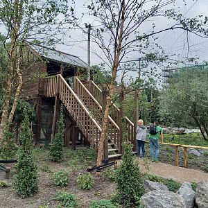 Viewing-tower new Steller's sea-eagle aviary