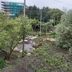 View into the new Steller's sea-eagle aviary