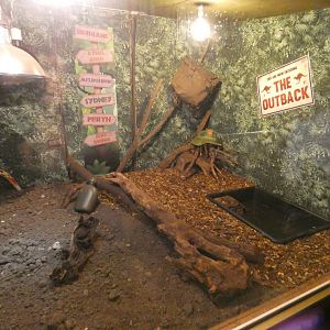 Cane toad enclosure (Greenacres Animal Park)