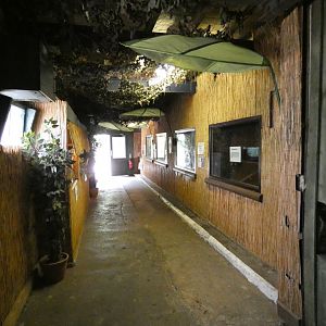 View in reptile house (Greenacres Animal Park)