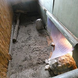 African spurred tortoise indoor enclosure (Greenacres Animal Park)