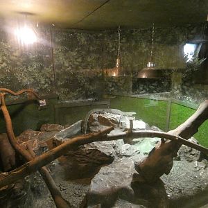 Nile monitor enclosure (Greenacres Animal Park)