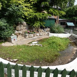 African spurred tortoise outdoor enclosure (Greenacres Animal Park)