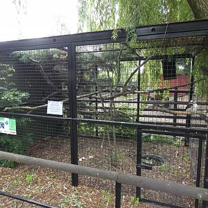 Common kookaburra aviary (Greenacres Animal Park)