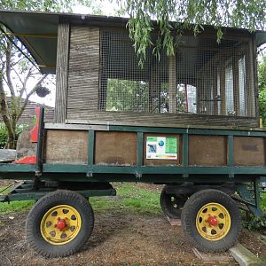 Budgie aviary (Greenacres Animal Park)