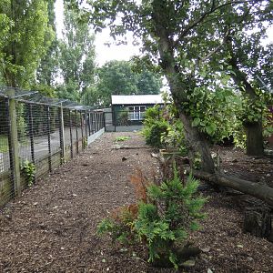 Corsac fox enclosure (Greenacres Animal Park)