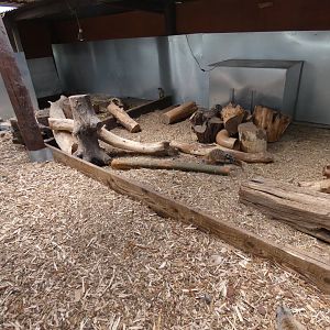 Meerkat and Porcupine enclosure (Greenacres Animal Park)