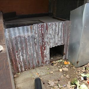 Porcupine hut (Greenacres Animal Park)