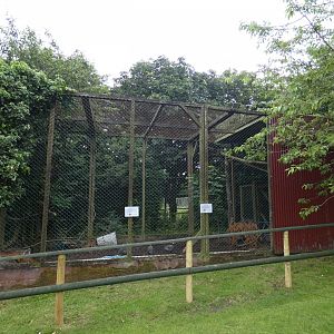 Peacock aviary (Greenacres Animal Park)