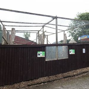 Lemur outdoor enclosure (Greenacres Animal Park)