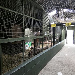 Lemur house (Greenacres Animal Park)