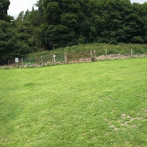 Wild boar enclosure (Bolton castle)