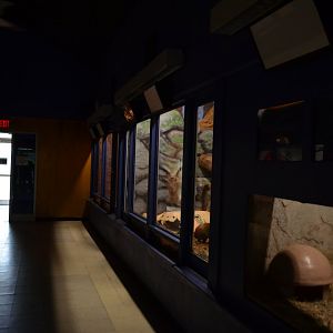 Night House Interior