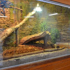 Tegu Exhibit