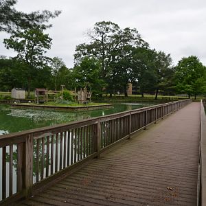 Lemur Island Walkabout