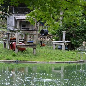Red Ruffed Lemur Island