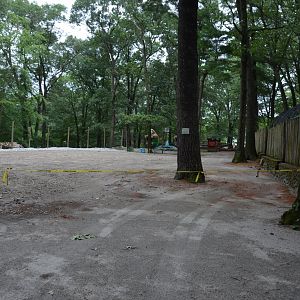 Future habitat, I call bets on Himalayan Brown Bear