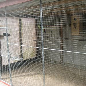 Hobro Minizoo - Red-winged parrot aviary