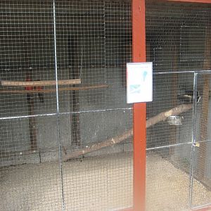 Hobro Minizoo - King parrot aviary