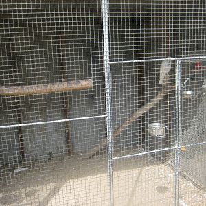 Hobro Minizoo - Cockatoo aviary