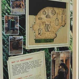 Signage about ape enrichment, 2021-06-12