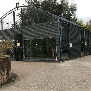 White faced saki and emperor tamarin enclosure