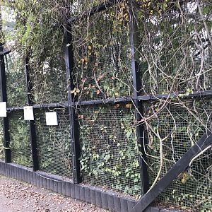 Common marmoset enclosure