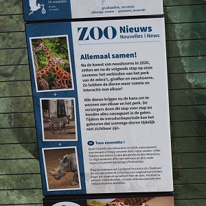 Signage about long-term project to merge the giraffe and rhinoceros areas of the savanna, 2021-06-12