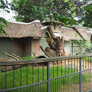 Hermann's tortoise exhibit (Historical small deer exhibit,), 2021-06-12
