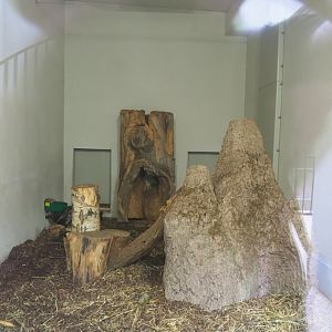 Indoor housing Cape porcupines and Yellow mongooses, 2021-06-12