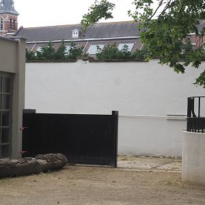 Connection between the Giraffe and Rhinoceros exhibits, 2021-06-12