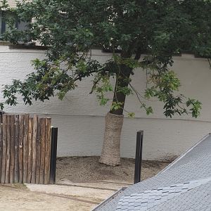 Connection between the Giraffe and Rhinoceros exhibits, 2021-06-12