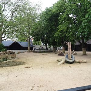 Savanna area - Southern white rhinoceros paddock, 2021-06-12