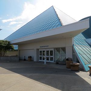 Aquarium - Exterior