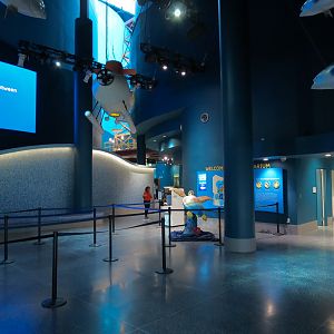 Aquarium - Lobby